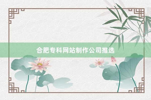 合肥专科网站制作公司推选